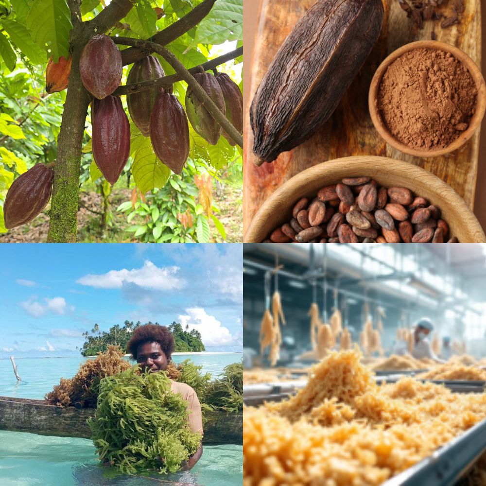 BOE Cocoa and Sea Moss Bougainville